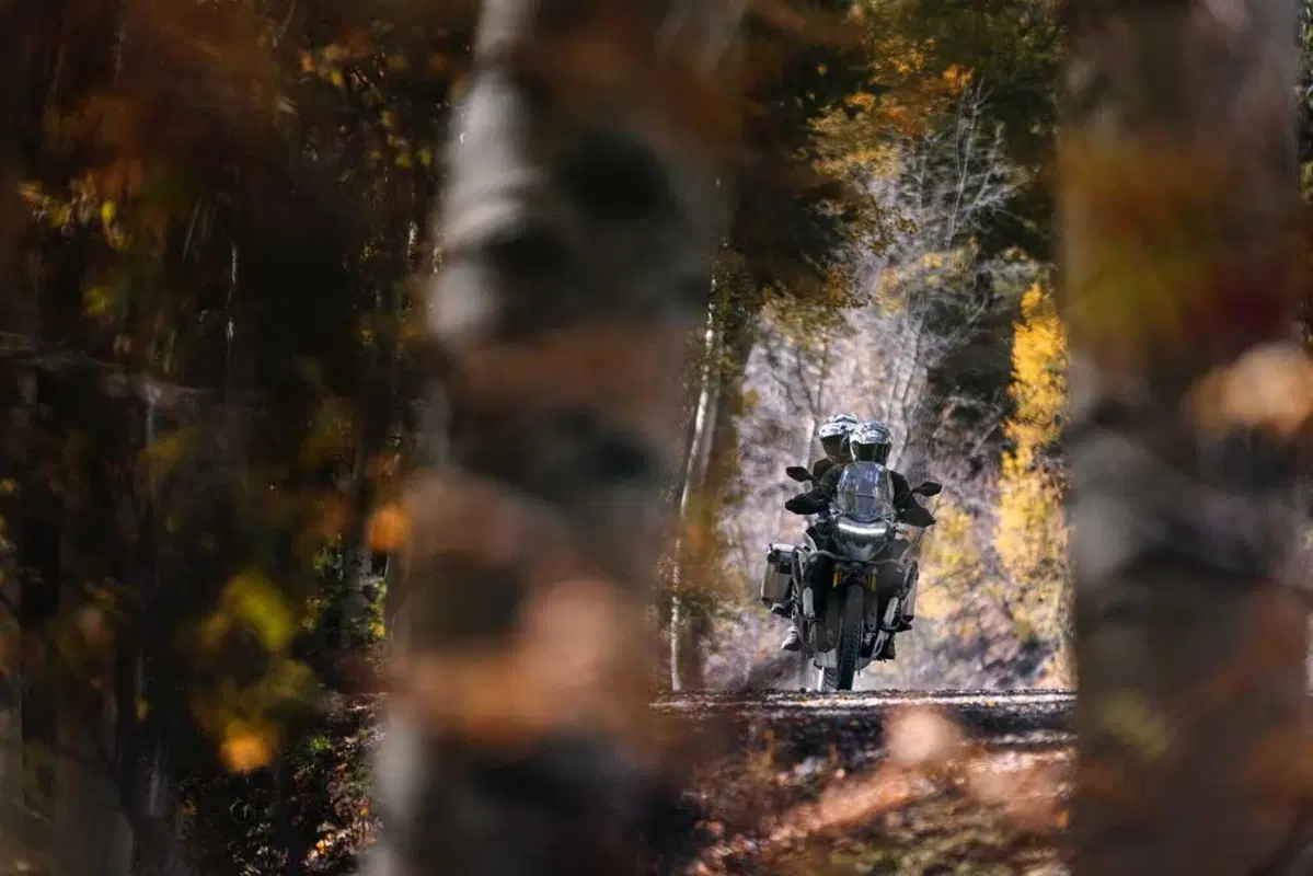Tiger 1200 MY 2024: cosa cambia? Aggiornamenti per la maxi inglese (15)