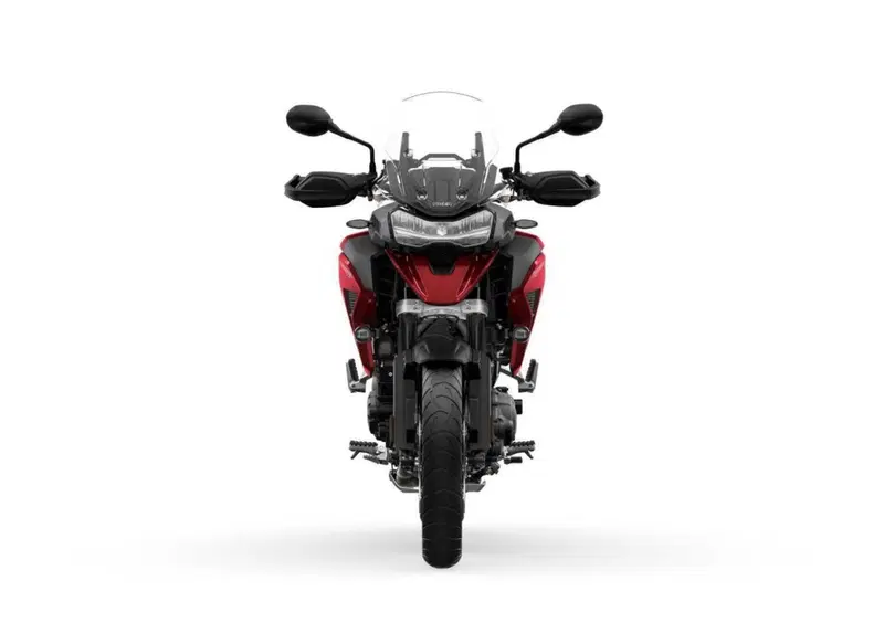 Triumph Tiger 1200 Tiger 1200 GT Pro (2024 - 26) (6)