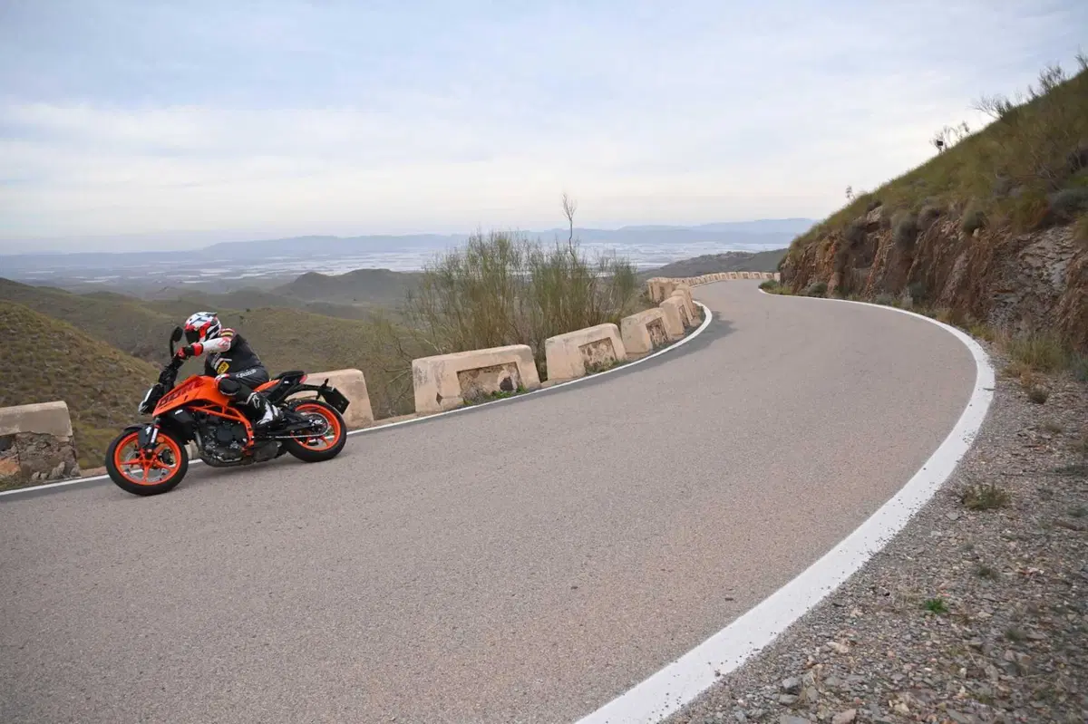 KTM Duke 390 (5)