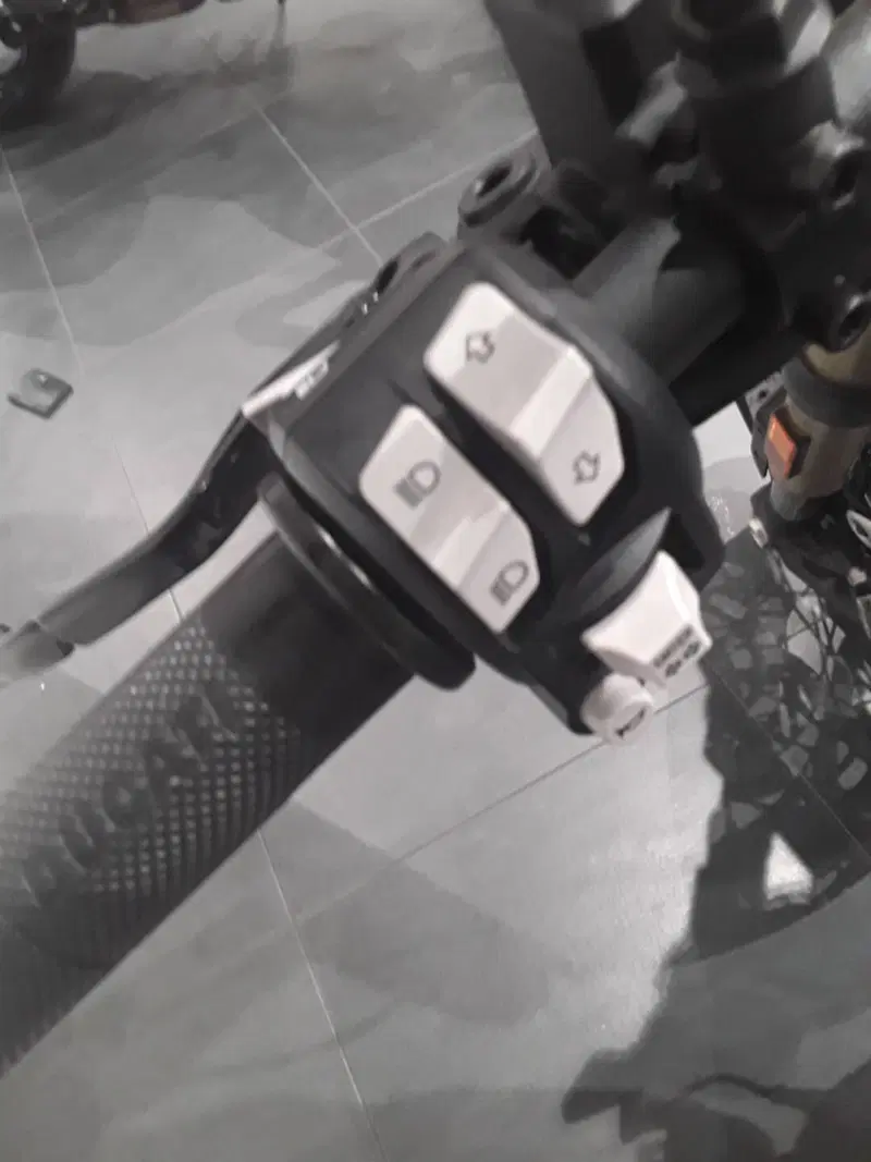 Ducati Scrambler 1100 Special (2018 - 20) (13)