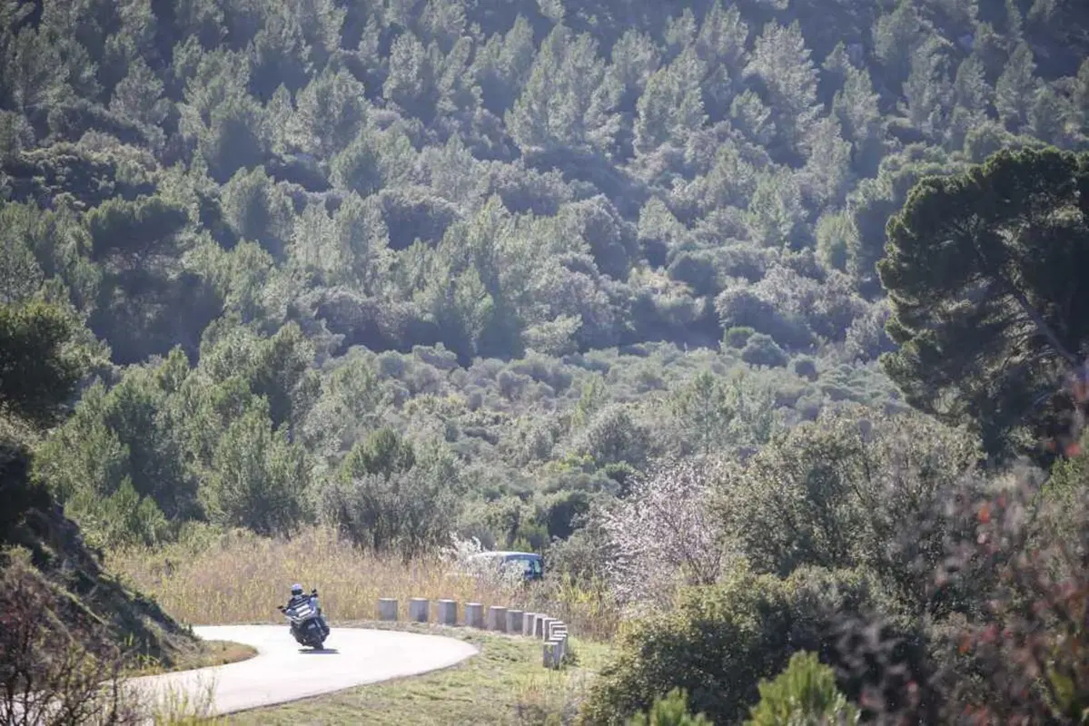 Harley-Davidson Street Glide e Road Glide 2024: abbiamo provato le tourer rivoluzionate! (8)