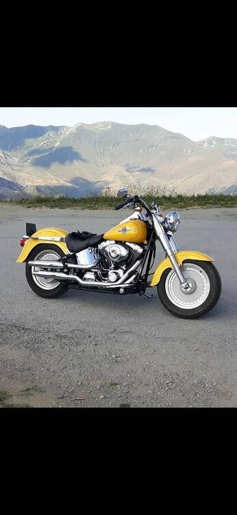 Harley-Davidson 1450 Fat Boy (2003 - 06) - FLSTFI (3)