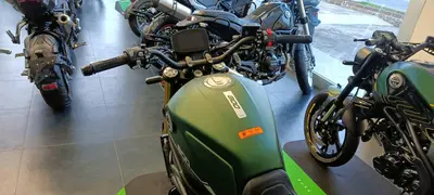Benelli Leoncino 800 (2022 - 26) nuova