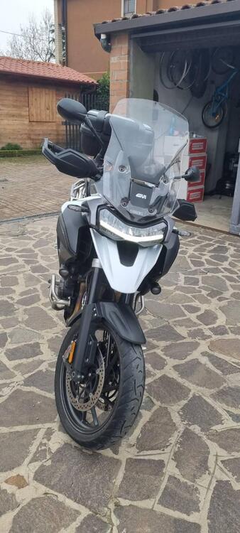 Triumph Tiger 1200 GT Pro (2022 - 23) (3)