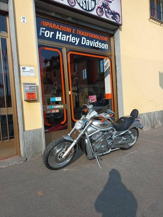 Harley-Davidson 1130 V-Rod (2002 - 05) - VRSCA (5)