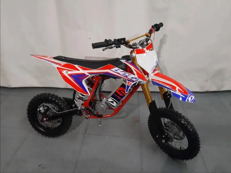 Betamotor Minicross-Electric Li-Ion (2019 - 26)