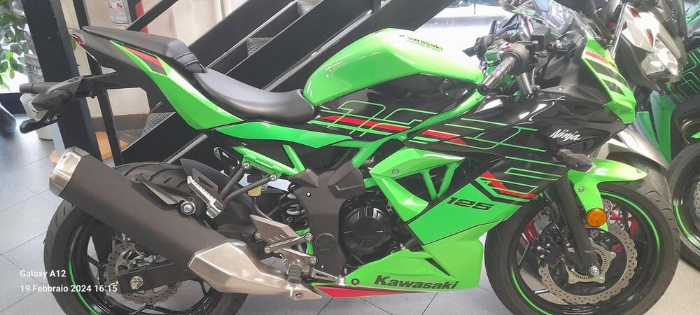 Kawasaki Ninja 125 (2021 - 24) (2)