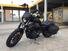 Harley-Davidson 883 Iron (2012 - 14) - XL 883N (7)