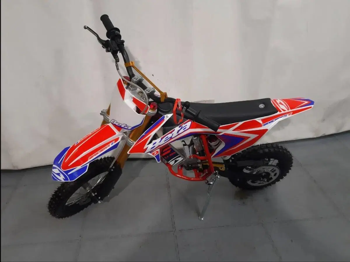 Betamotor Minicross-Electric Li-Ion (2019 - 26) (4)