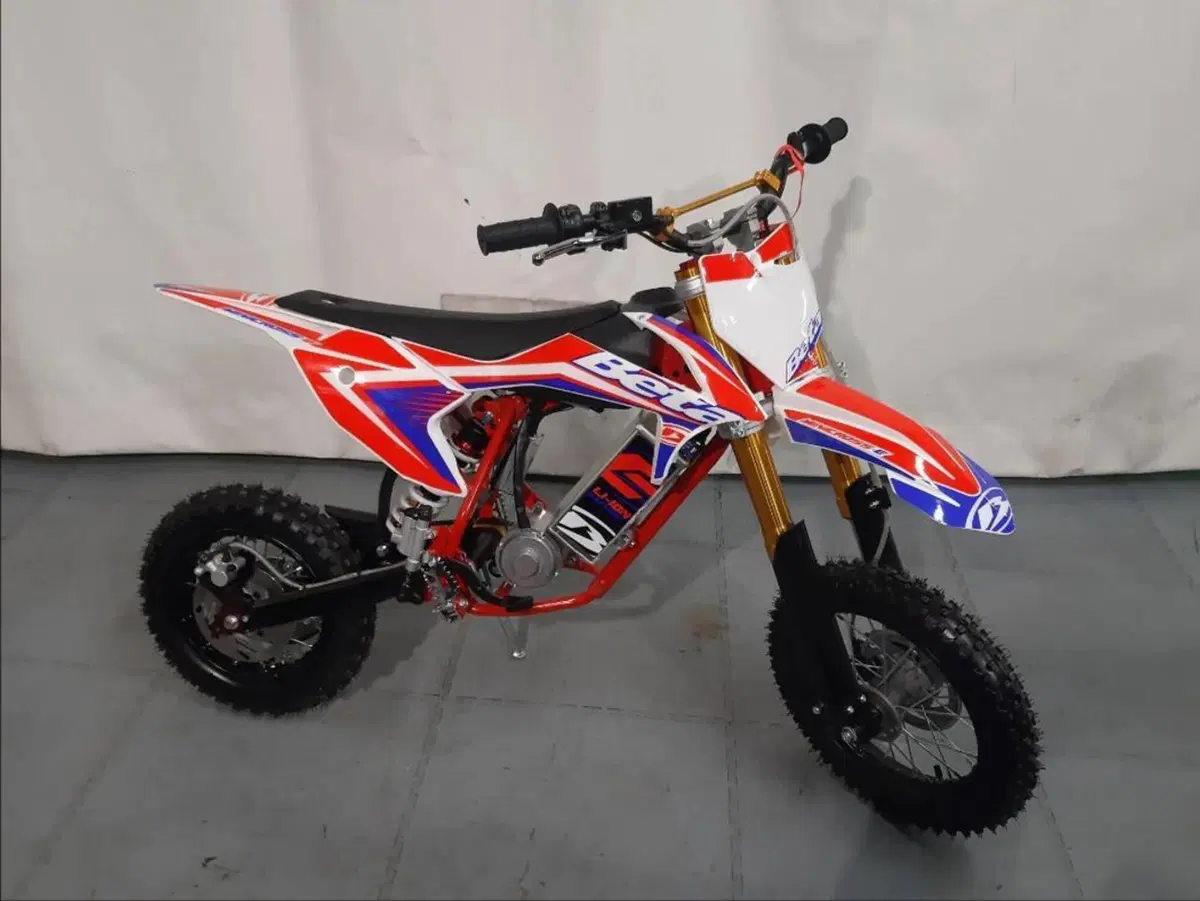 Betamotor Minicross-Electric Li-Ion (2019 - 26) (2)