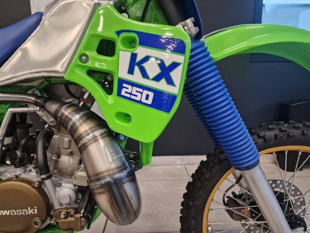 Kawasaki KX250 (2)