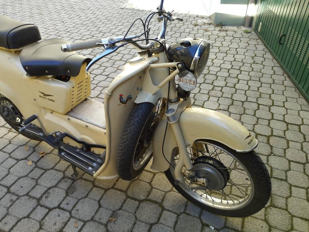 Moto Guzzi Galletto 175 (5)