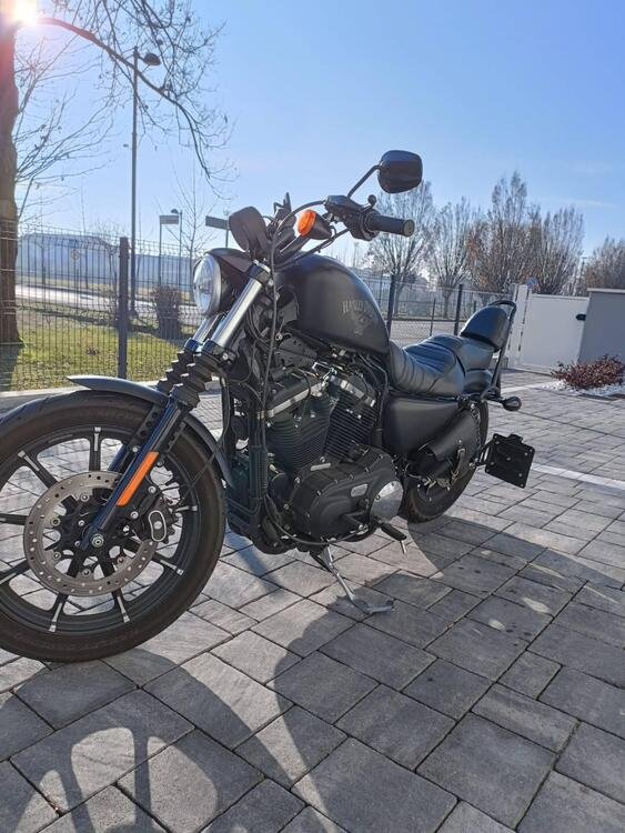 Harley-Davidson 883 Iron (2017 - 20) - XL 883N (3)