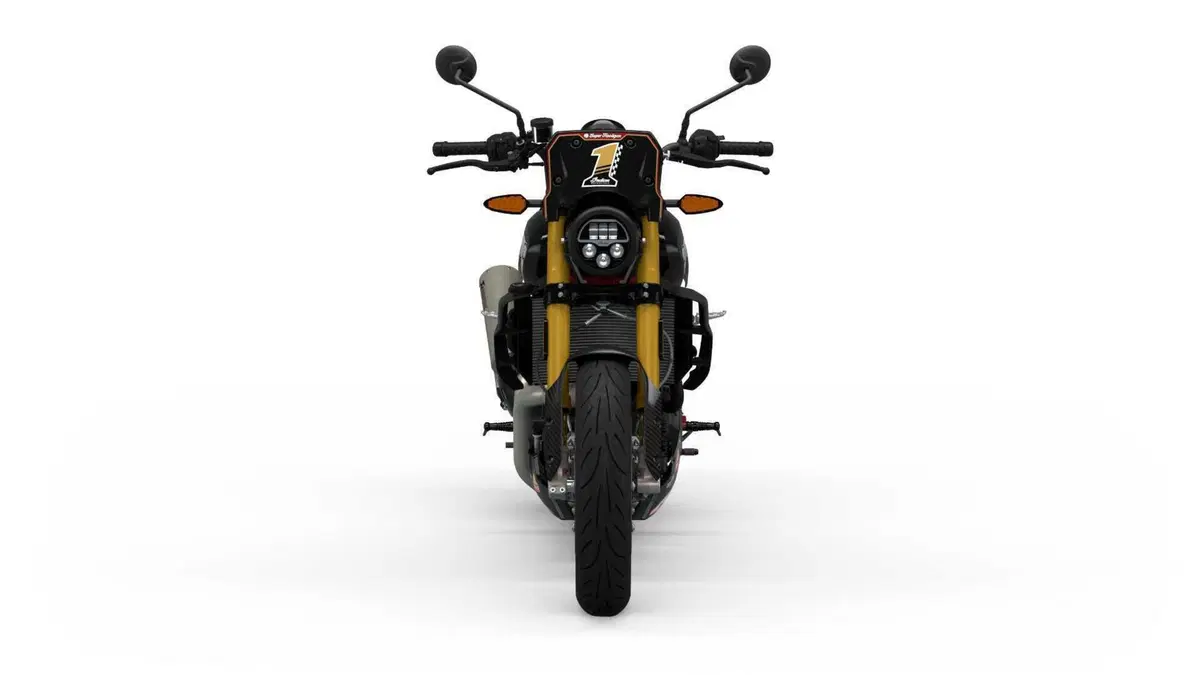 Indian FTR 1200 FTR 1200 x RSD Super Hooligan (2024 - 25) (5)