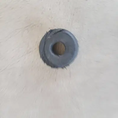 Tampone in gomma Kymco Downtown 125