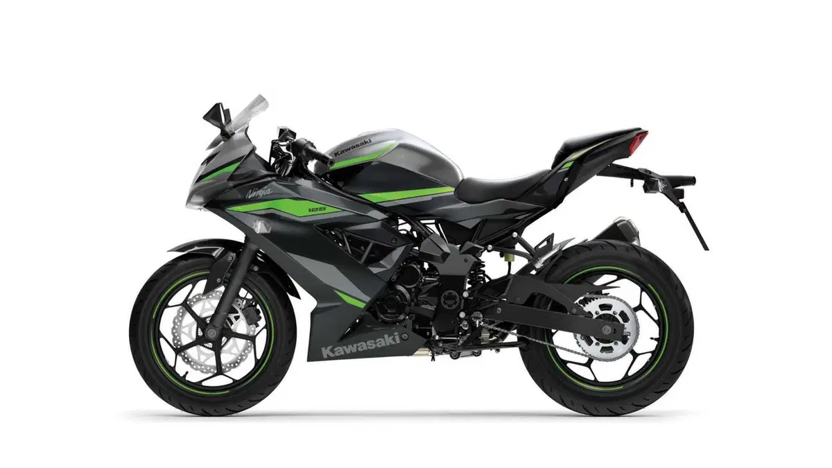 Kawasaki Ninja 125 Ninja 125 (2021 - 24) (6)