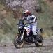 BMW F 900 GS TEST: come va la nuova adventure su strada e in fuoristrada. Pro e contro! [VIDEO E GALLERY]