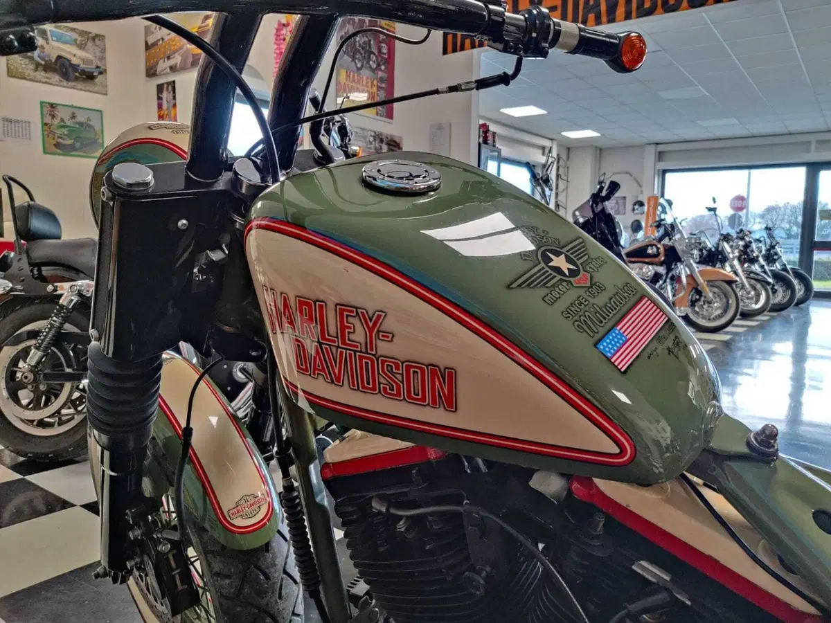 Harley-Davidson 1340 Fat Boy (1990 - 99) - FLSTF (9)