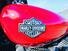 Harley-Davidson 750 Street (2014 - 16) - XG 750 (10)