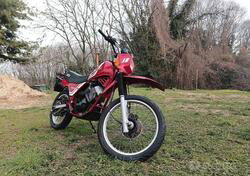 Morini Canguro 350 (1982 - 90) usata