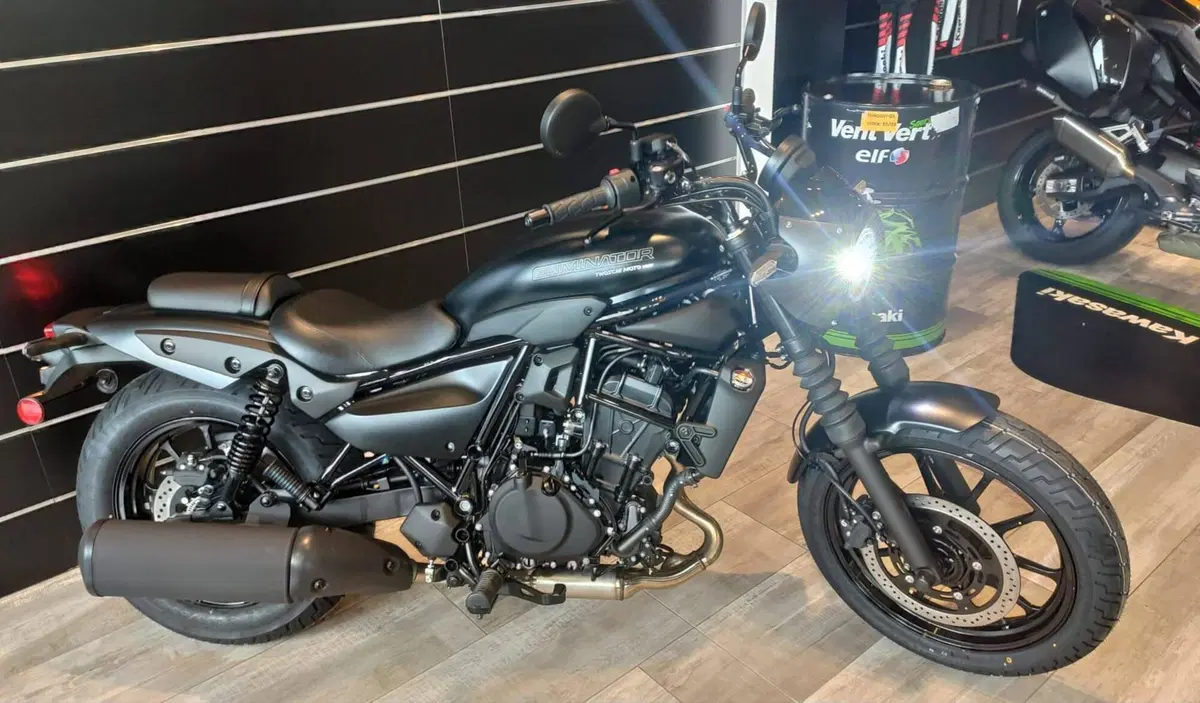 Kawasaki Eliminator 500 SE (2024 - 26) (4)