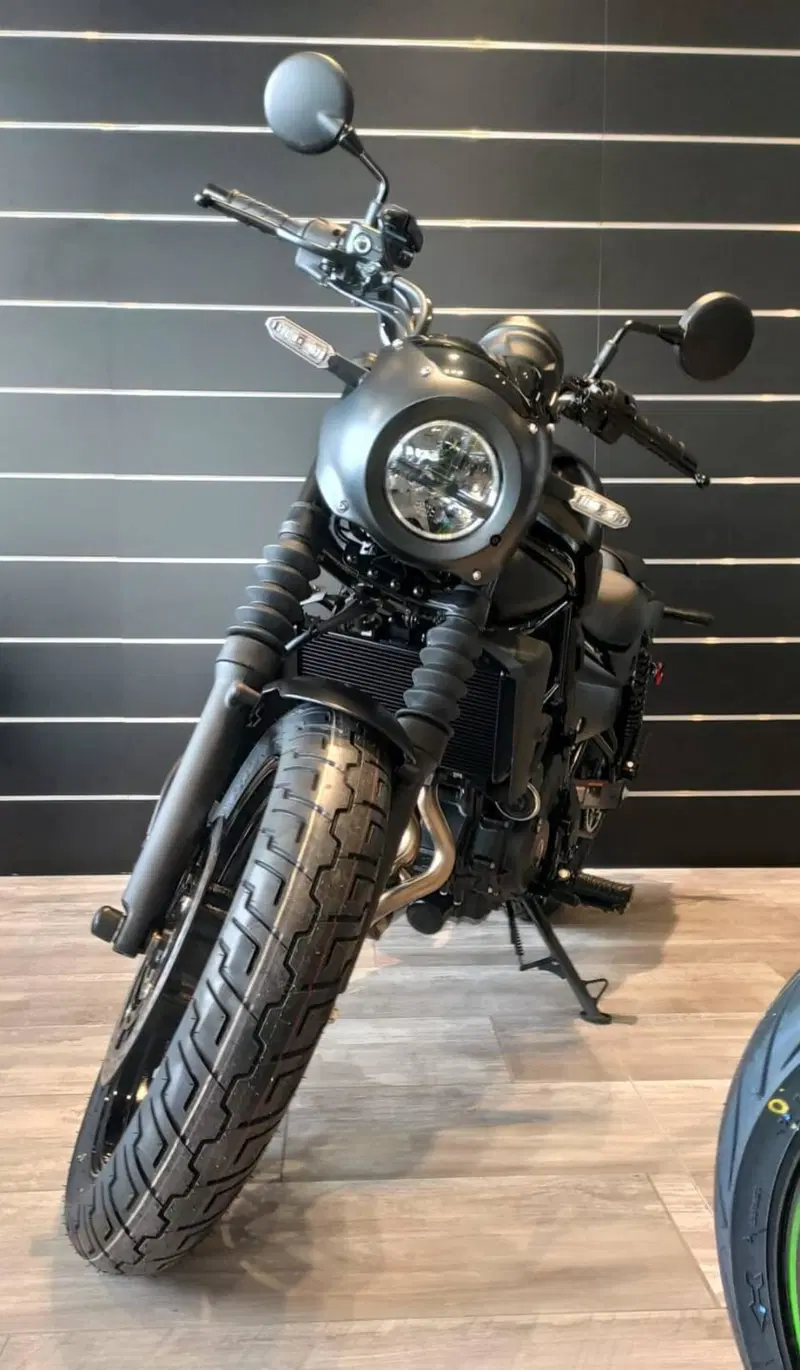 Kawasaki Eliminator 500 SE (2024 - 26) (6)