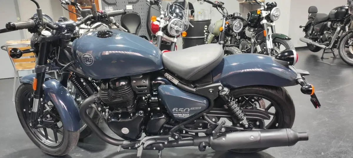 Royal Enfield Shotgun 650 (2024 - 26)