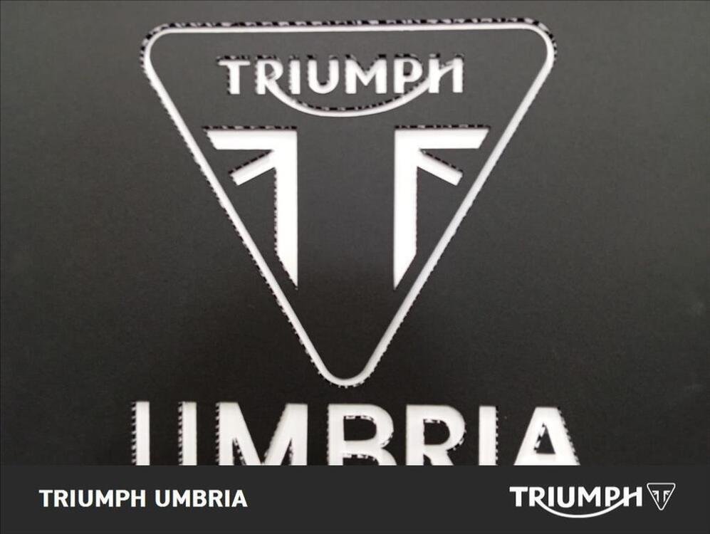 Triumph Scrambler 1200 XE (2024) (3)