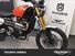 Triumph Scrambler 1200 XE (2024) (7)