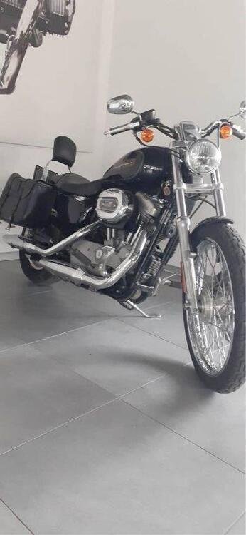 Harley-Davidson 883 Custom (2008 - 12) - XL 883C (2)