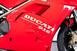 Ducati 1997 DUCATI 916 BIPOSTO (6)