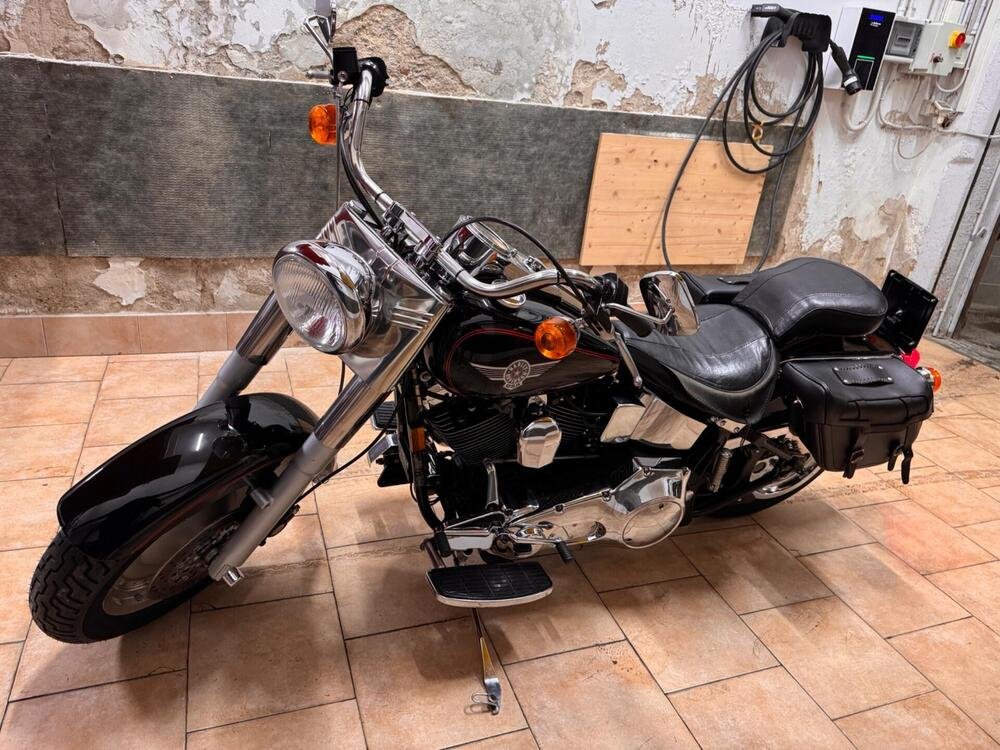 Harley-Davidson Fatboy (4)