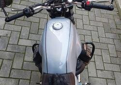Moto Guzzi V7 Special (2021 - 24) usata