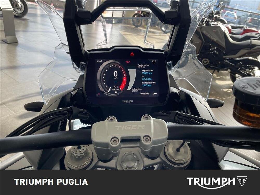 Triumph Tiger 1200 GT Pro (2022 - 23) (3)