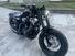 Harley-Davidson 1200 Forty-Eight (2010 - 15) (6)