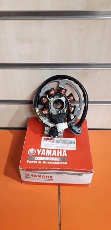 -Basamento statore Yamaha Aerox 100 2000-02 4VPH55