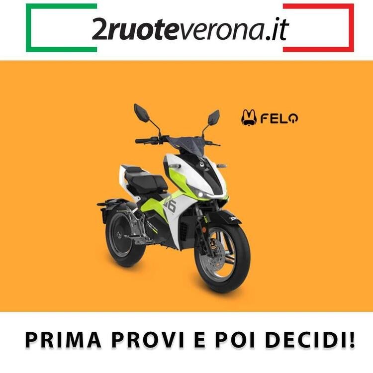 FELO Moto FW-06 (2023 - 24)