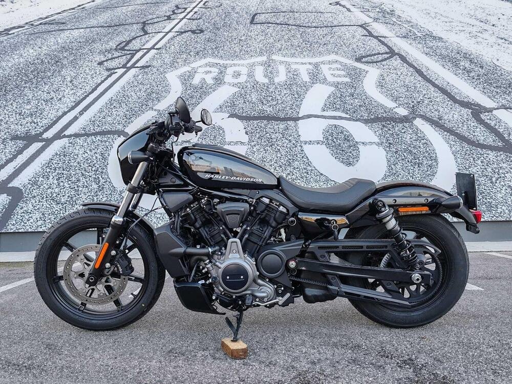 Harley-Davidson Nightster (2023 - 24) (3)