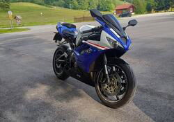 Triumph Daytona 675 (2006 - 08) usata