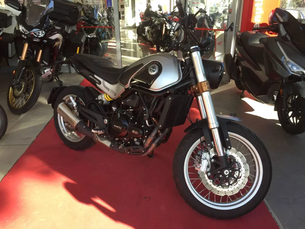 Benelli Leoncino 500 Trail (2021 - 26)