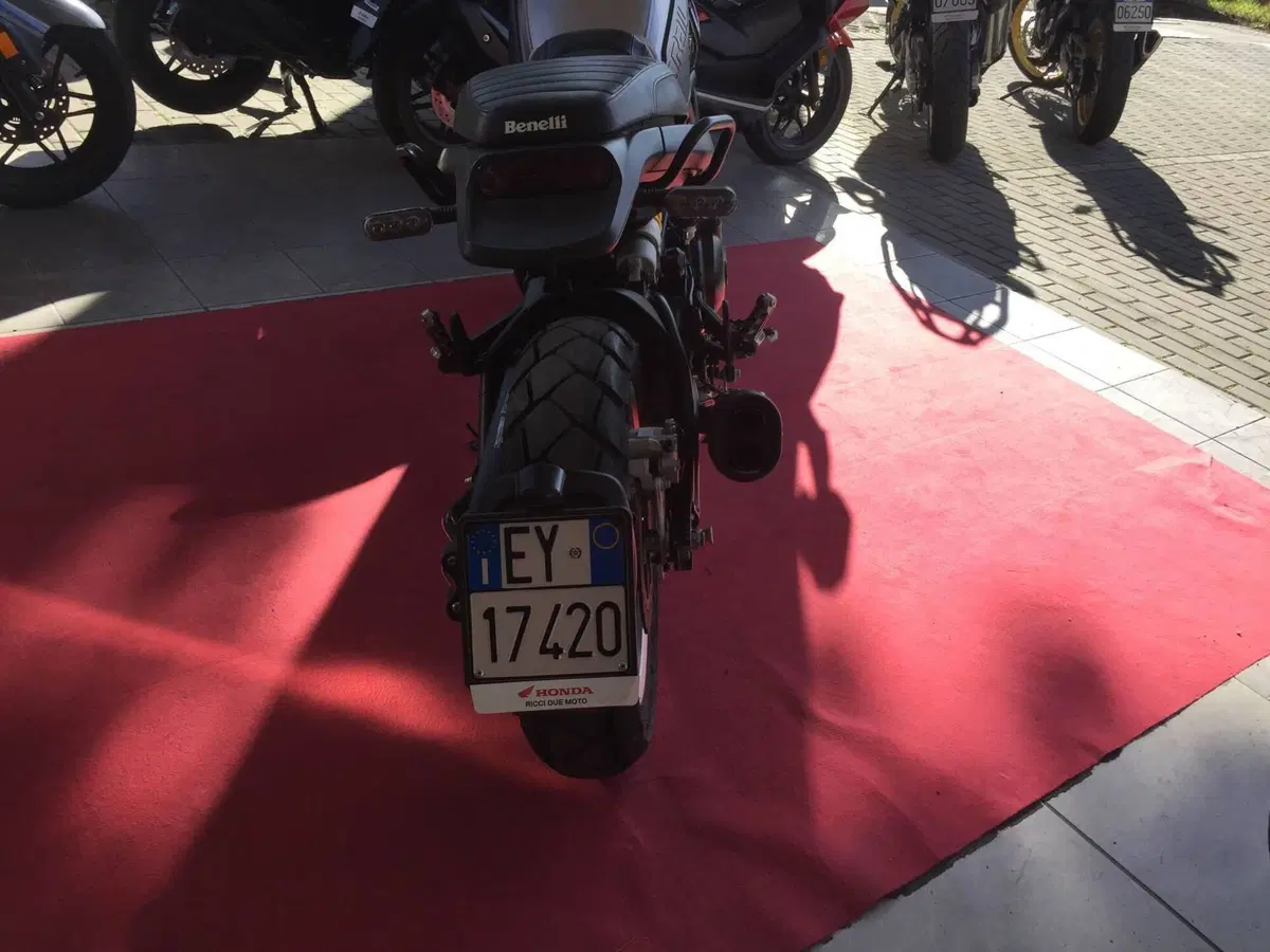 Benelli Leoncino 500 Trail (2021 - 26) (4)