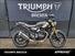 Triumph Scrambler 400 X (2024) (13)