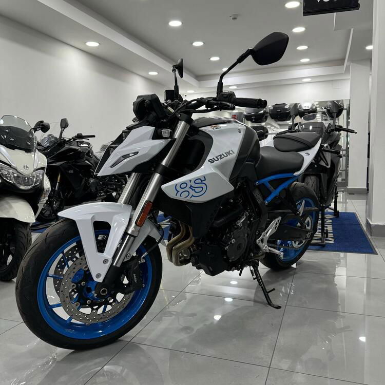 Suzuki GSX-8S (2023 - 24) (3)