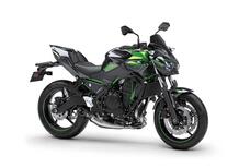 Kawasaki Z 650 Performance (2021 - 24)