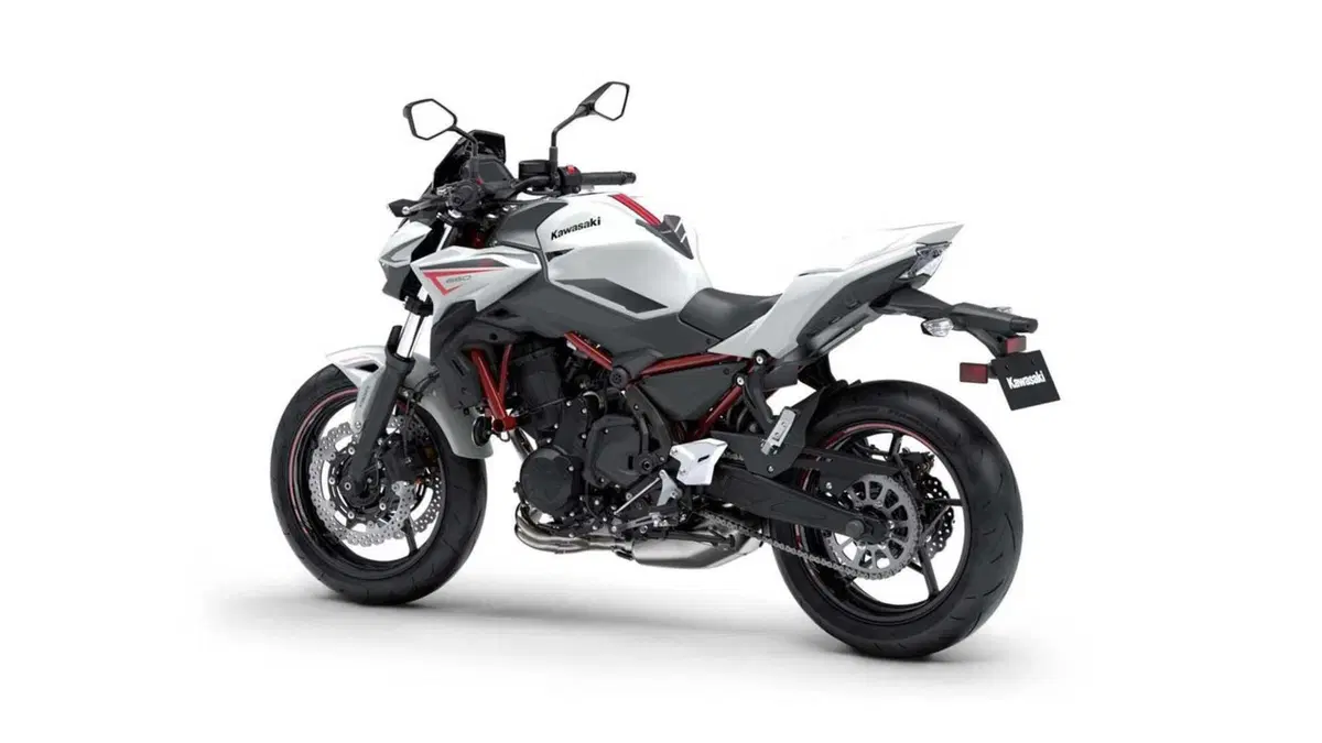 Kawasaki Z 650 Z 650 Performance (2021 - 24) (6)