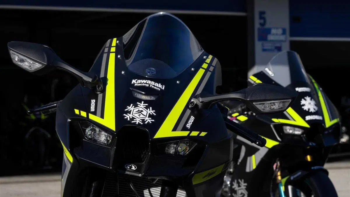 Kawasaki Ninja 1000 ZX-10RR Ninja 1000 ZX-10RR "Winter Test" Limited Edition (2024) (5)