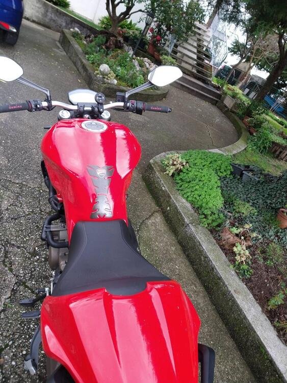 Ducati Monster 821 ABS (2014 - 17) (2)