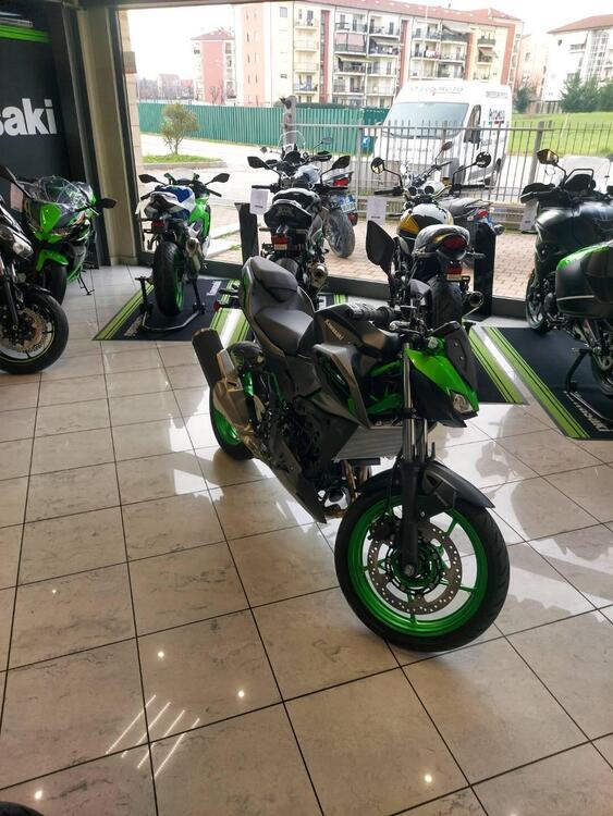 Kawasaki Z 500 SE (2024 - 25) (4)