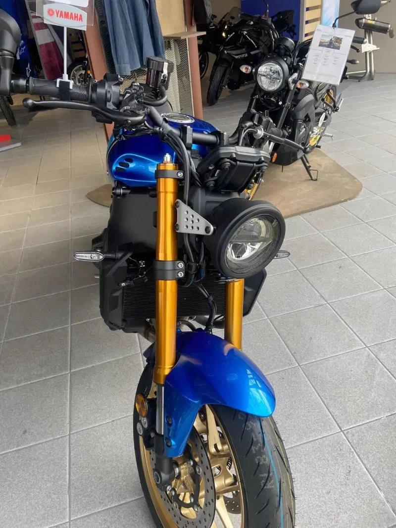 Yamaha XSR 900 (2022 - 24) (2)