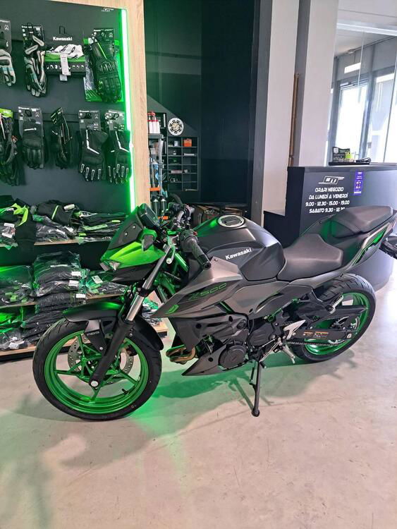 Kawasaki Z 500 SE (2024) (5)